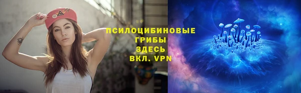 гашик Алексеевка