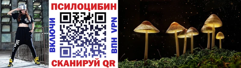 Псилоцибиновые грибы Psilocybine cubensis Майкоп